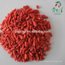 Vente chaude organique Ningxia Goji Berry 220